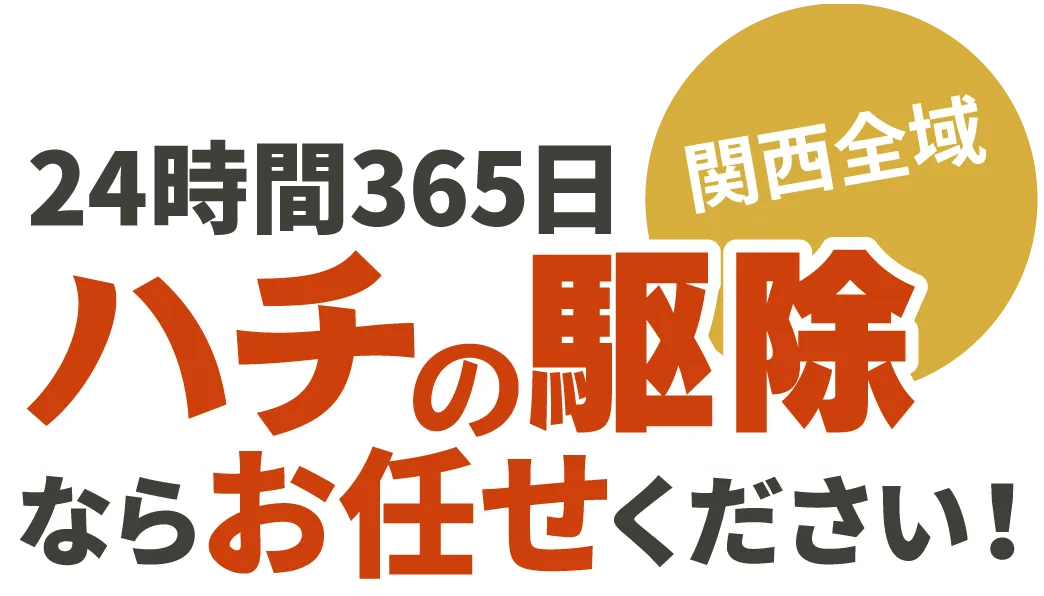 ハチ（蜂）の駆除ならお任せください